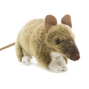 Australian Bandicoot Plush by Brocchetta